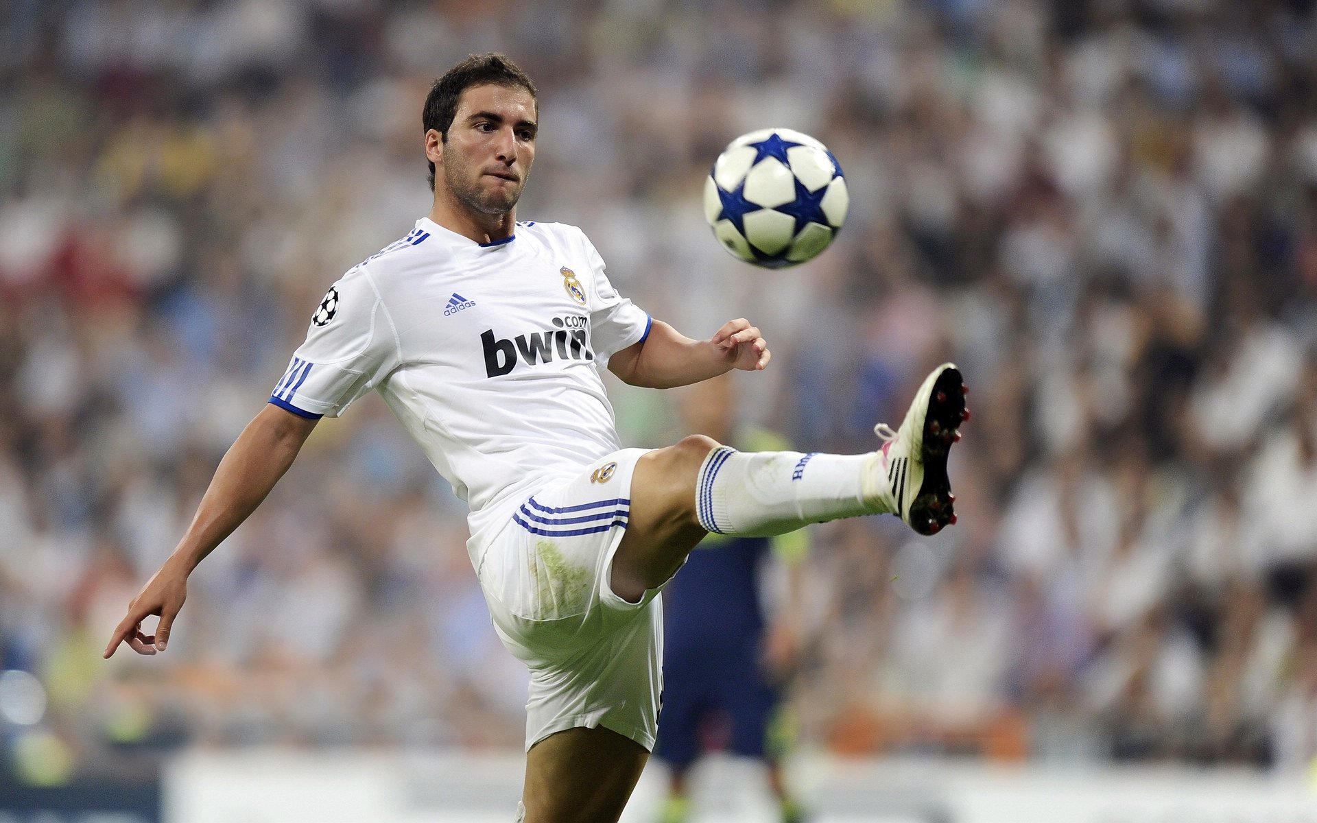 赛场荣耀属于勇者